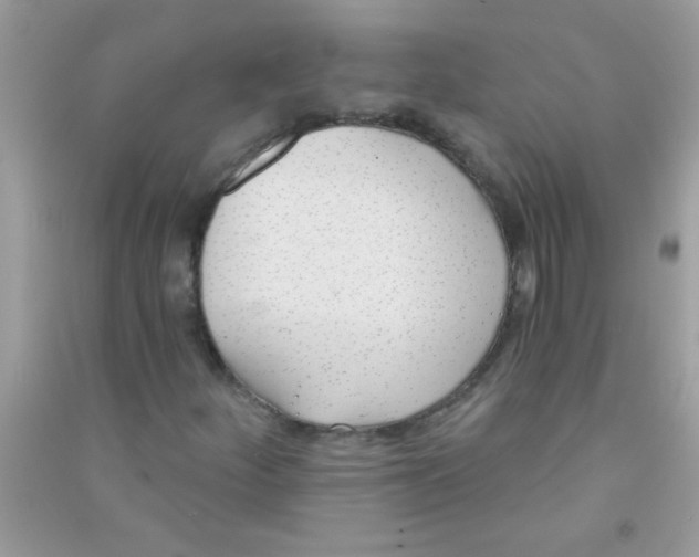 X0000090751252200708172020