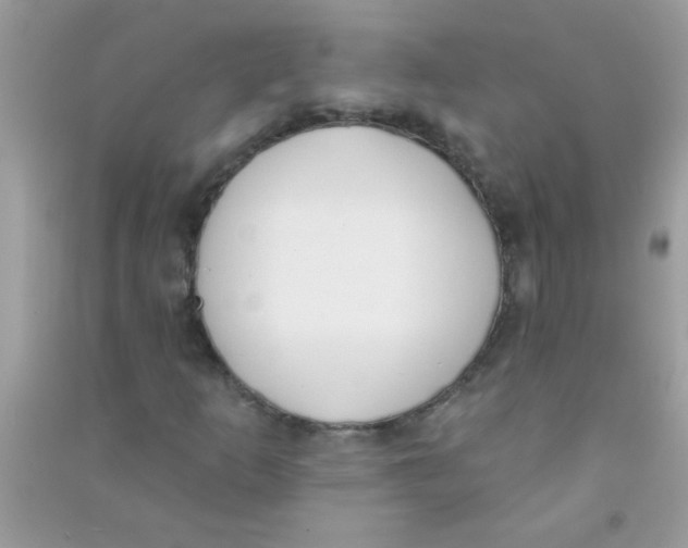 X0000090751253200708172020