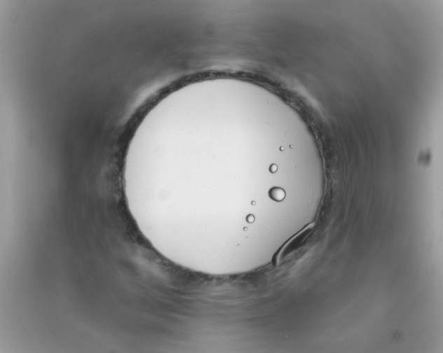 X0000090751256200708172020