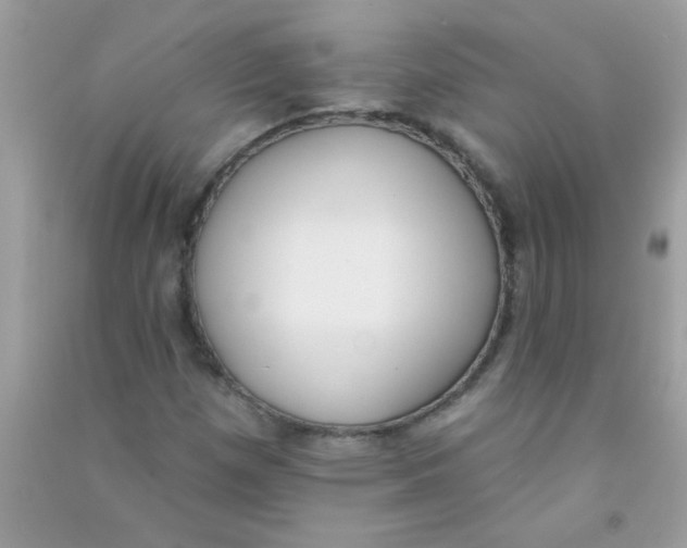 X0000090751257200708172020