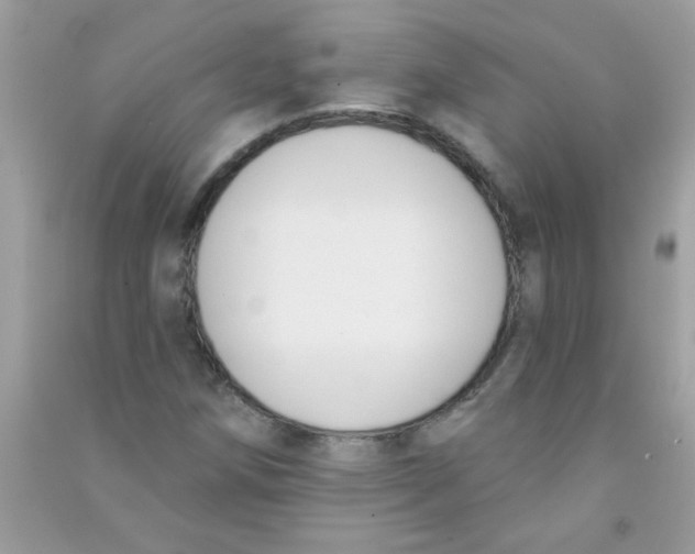 X0000090751258200708172020