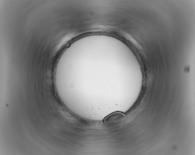 X0000090751259200708172020