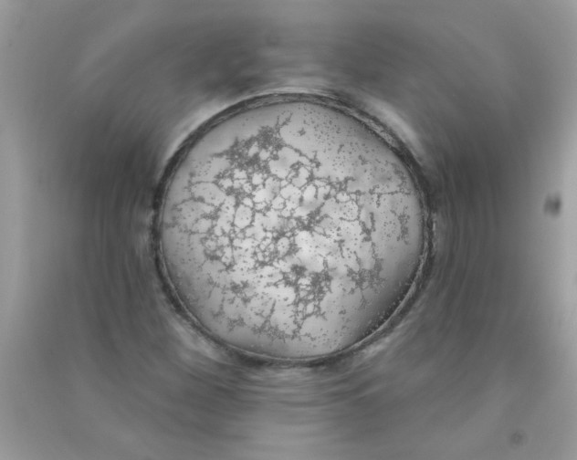 X0000090751260200708172020