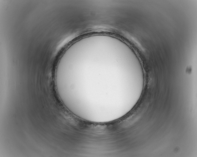 X0000090751261200708172020