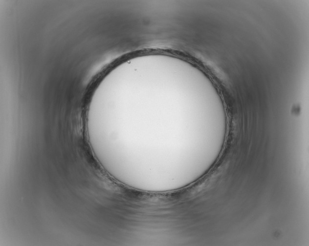 X0000090751262200708172020