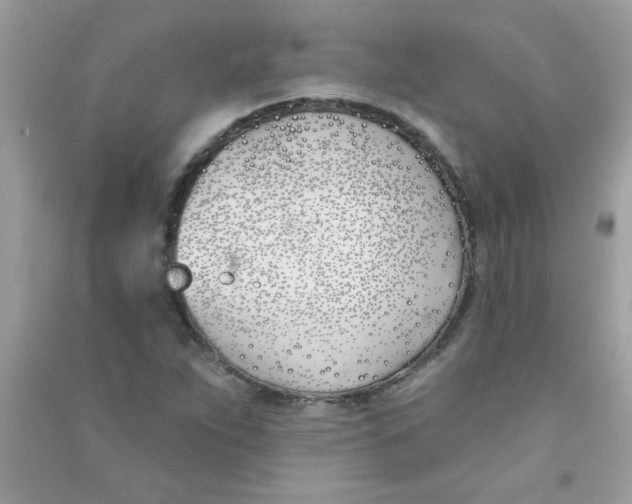 X0000090751263200708172020