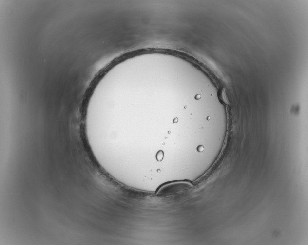 X0000090751264200708172020