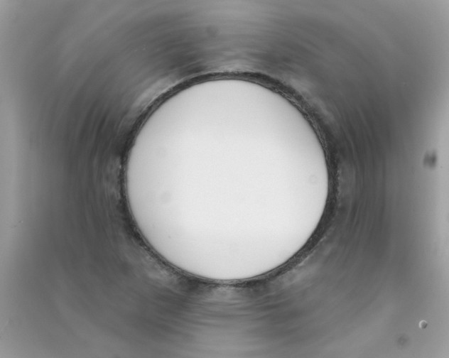 X0000090751265200708172020