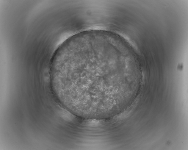 X0000090751266200708172020
