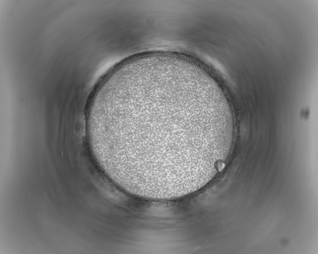 X0000090751267200708172020