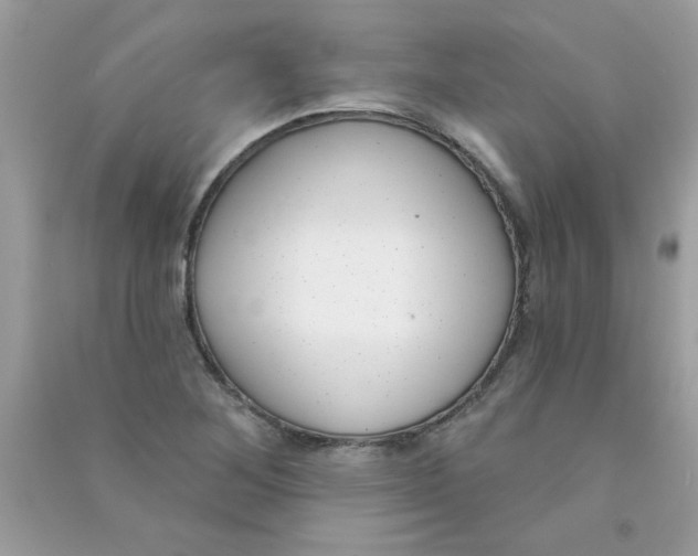 X0000090751268200708172020