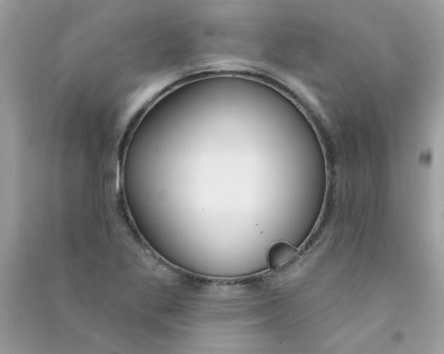 X0000090751269200708172020