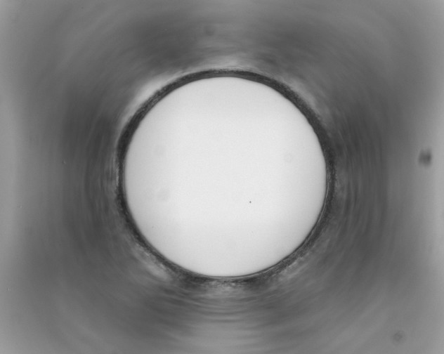 X0000090751270200708172020