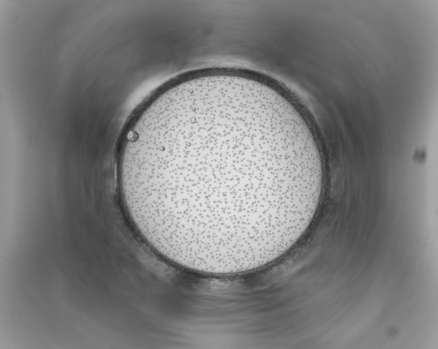 X0000090751271200708172020