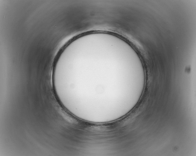 X0000090751272200708172020