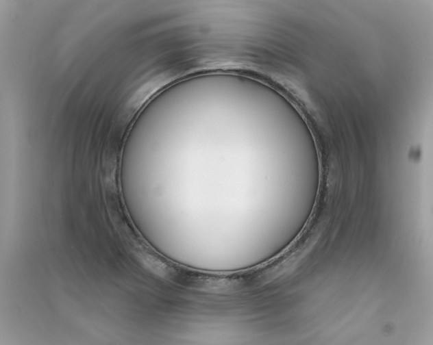 X0000090751273200708172020