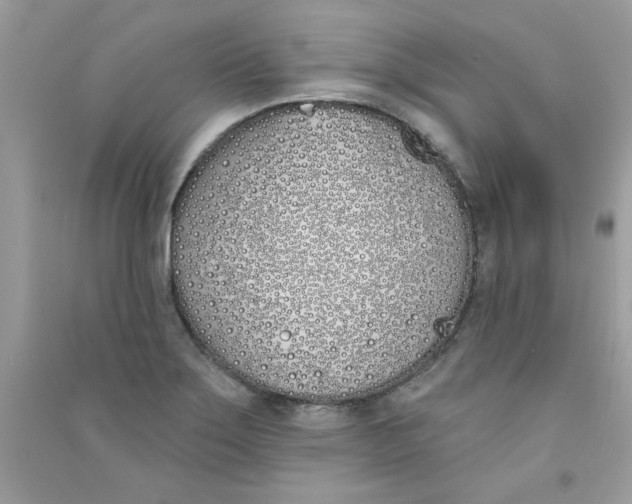 X0000090751275200708172020