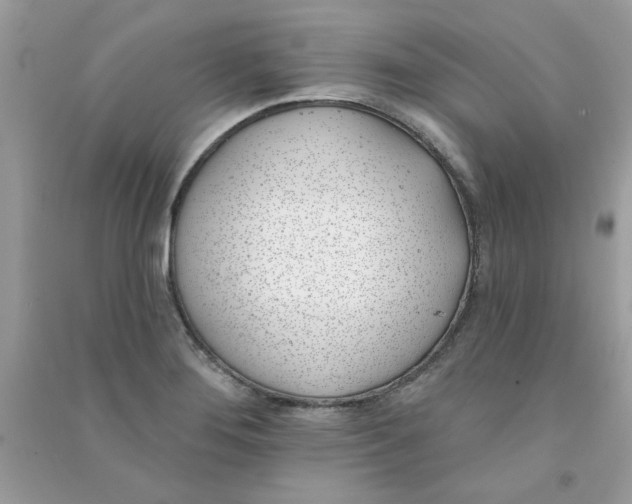 X0000090751276200708172020