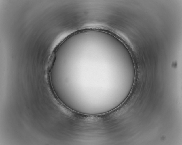 X0000090751277200708172020