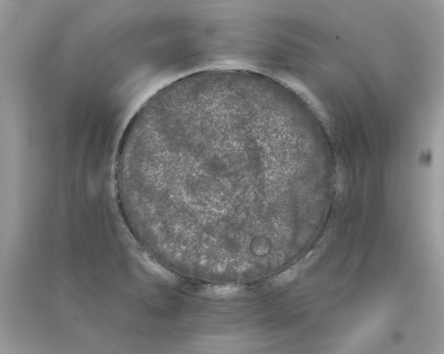 X0000090751278200708172020