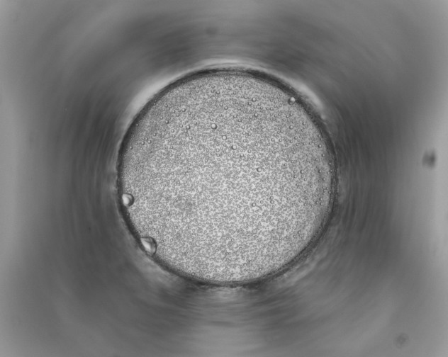 X0000090751279200708172020