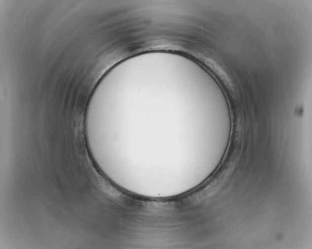 X0000090751281200708172020