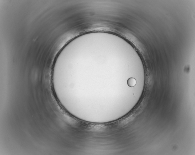 X0000090751282200708172020