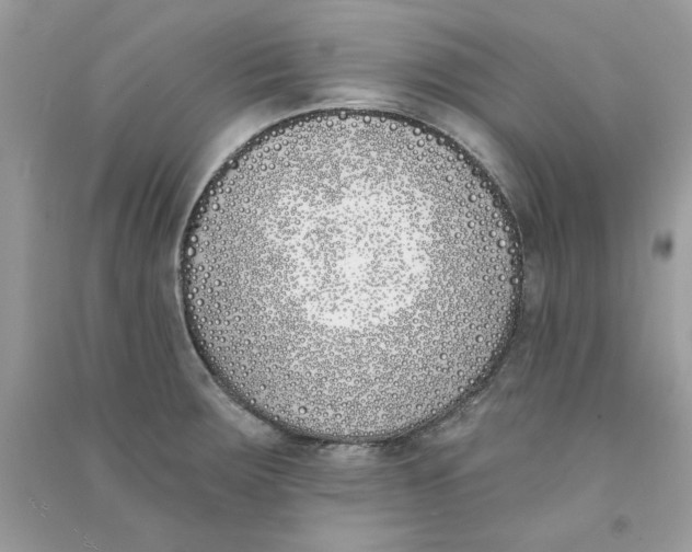 X0000090751283200708172020