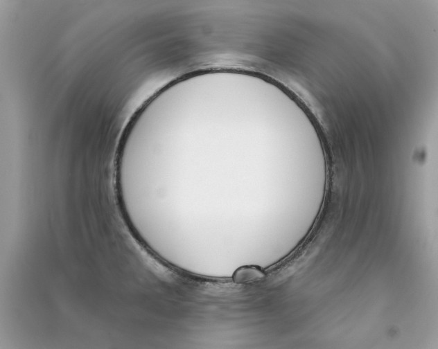 X0000090751285200708172020