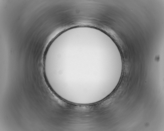 X0000090751286200708172020