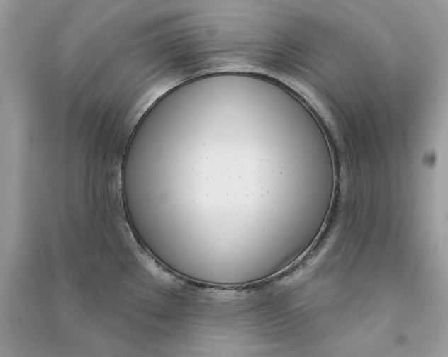 X0000090751289200708172020