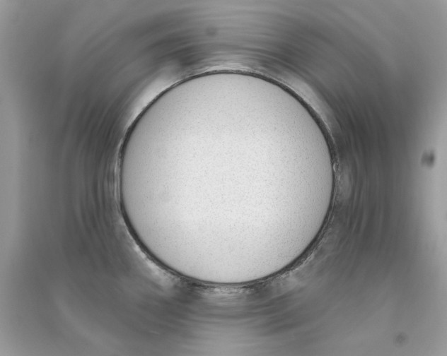 X0000090751290200708172020