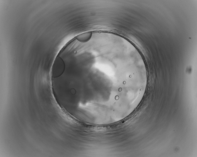 X0000090751291200708172020