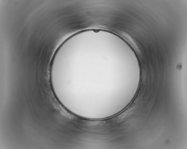 X0000090751292200708172020