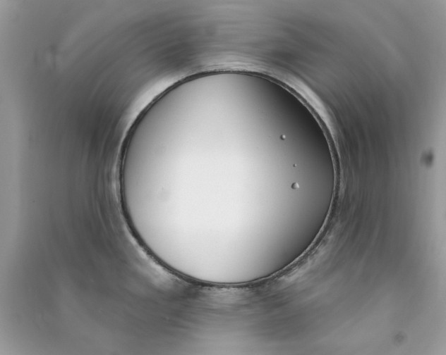 X0000090751293200708172020