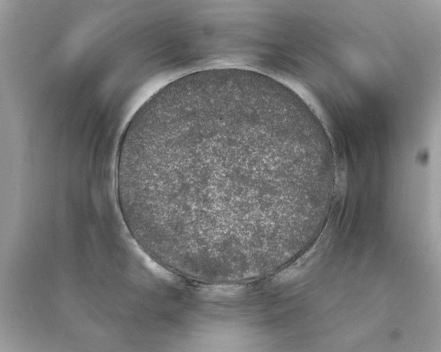 X0000090751294200708172020