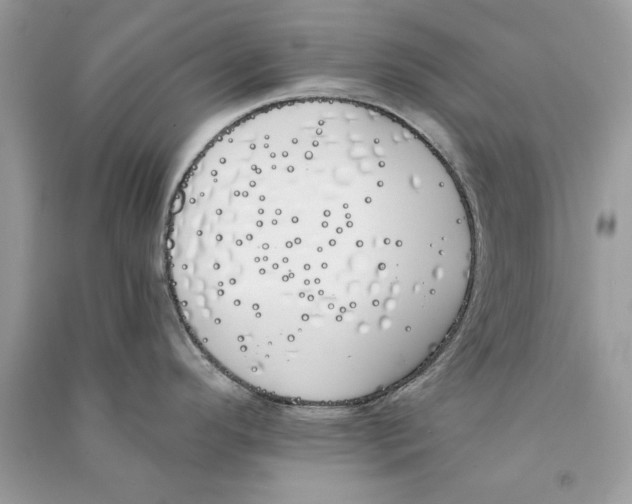 X0000090751296200708172020