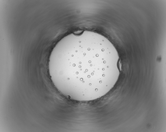 X0000090751297200708172019
