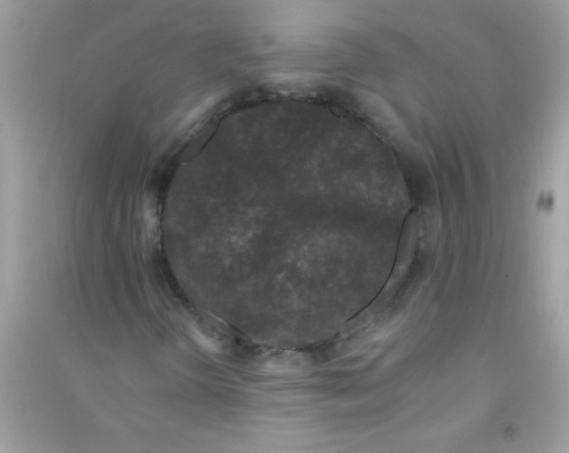 X0000090751298200708172019