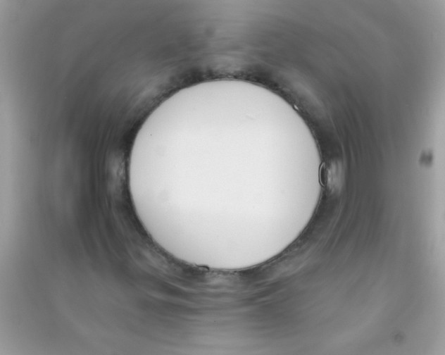 X0000090751299200708172019