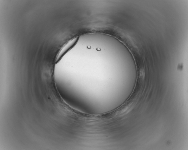 X0000090751300200708172019