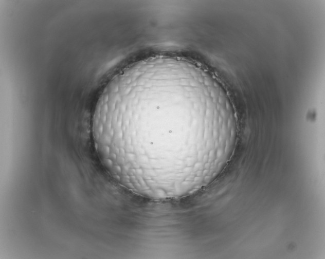 X0000090751301200708172019