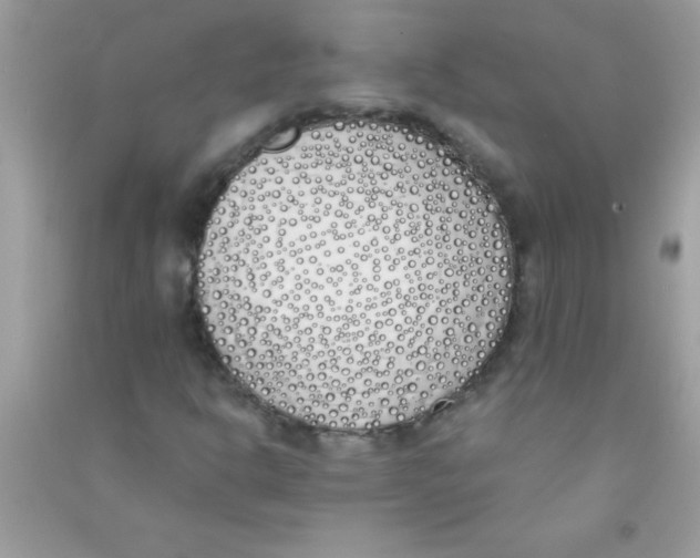 X0000090751302200708172019