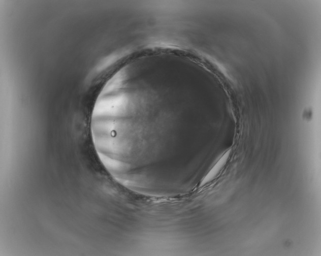 X0000090751303200708172019