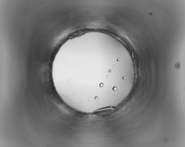 X0000090751304200708172019