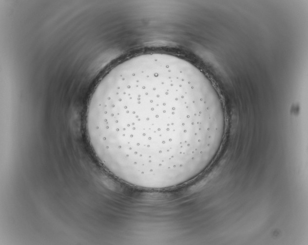 X0000090751305200708172019