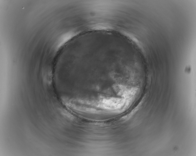X0000090751306200708172019