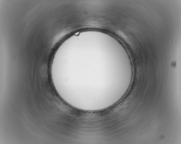X0000090751307200708172019