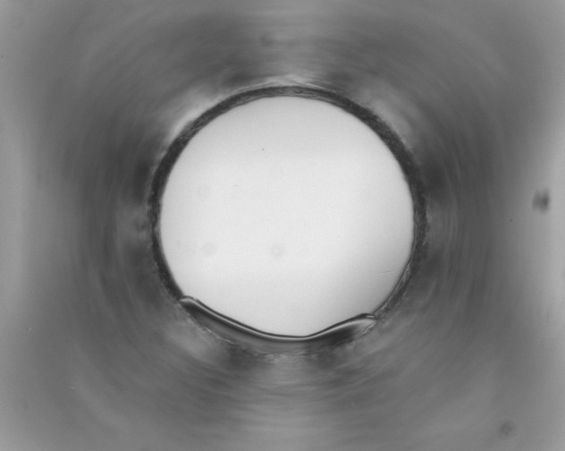 X0000090751308200708172019