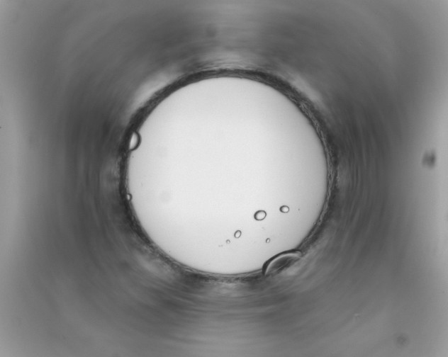 X0000090751309200708172019